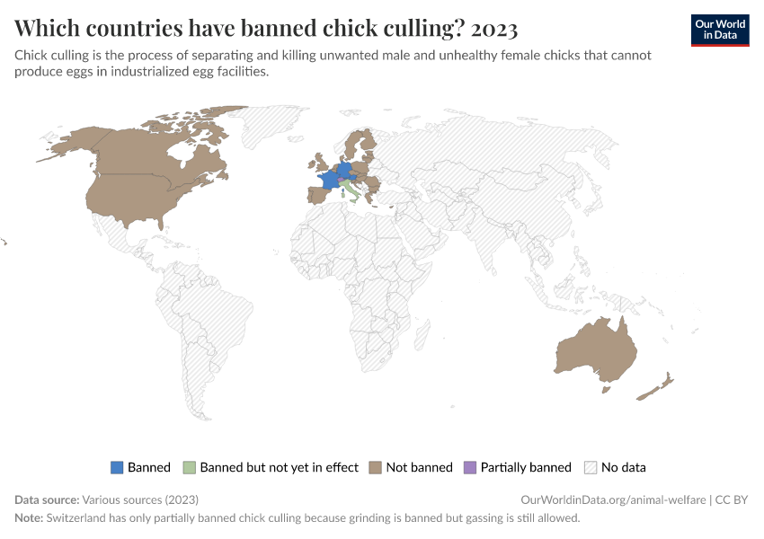 Which countries have banned chick culling?