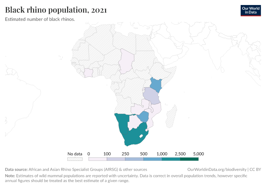 Black rhino population