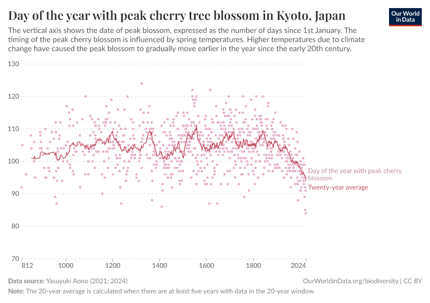 Day of the year with peak cherry tree blossom in Kyoto, Japan