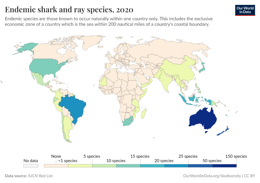 Endemic shark and ray species