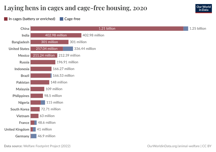 Laying hens in cages and cage-free housing