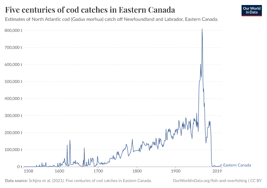 Five centuries of cod catches in Eastern Canada