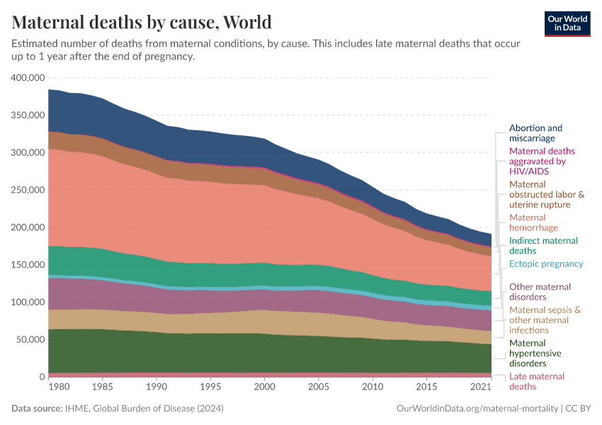 Maternal deaths by cause