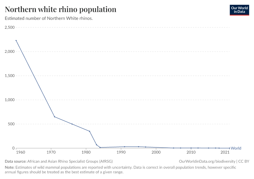 Northern white rhino population