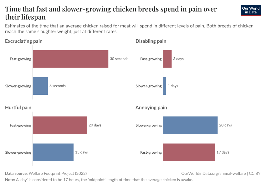 Time that fast and slower-growing chicken breeds spend in pain over their lifespan