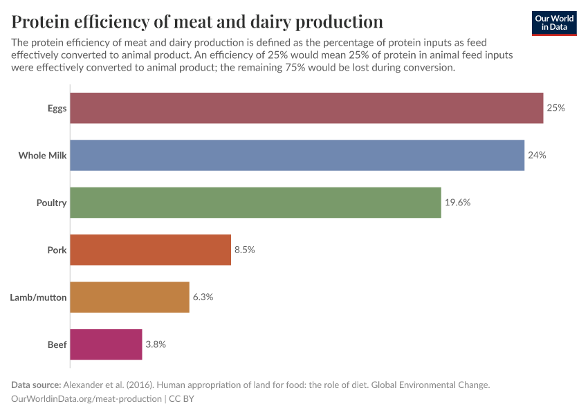 Protein efficiency of meat and dairy production