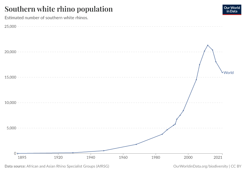 Southern white rhino population