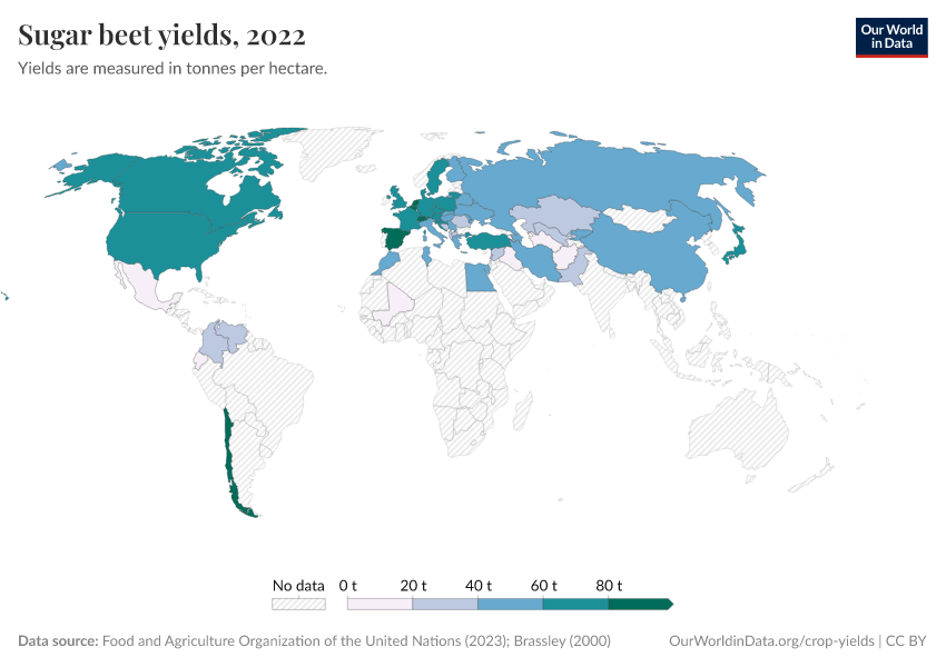 Sugar beet yields