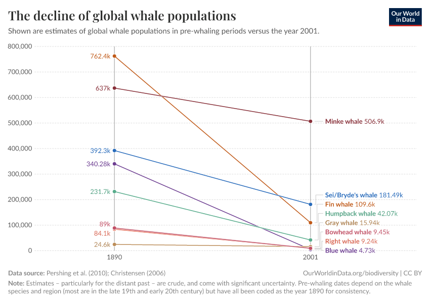 The decline of global whale populations